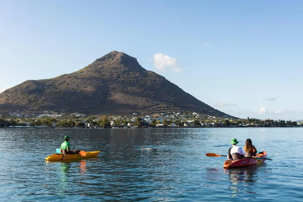 Kayaking with Dolphins